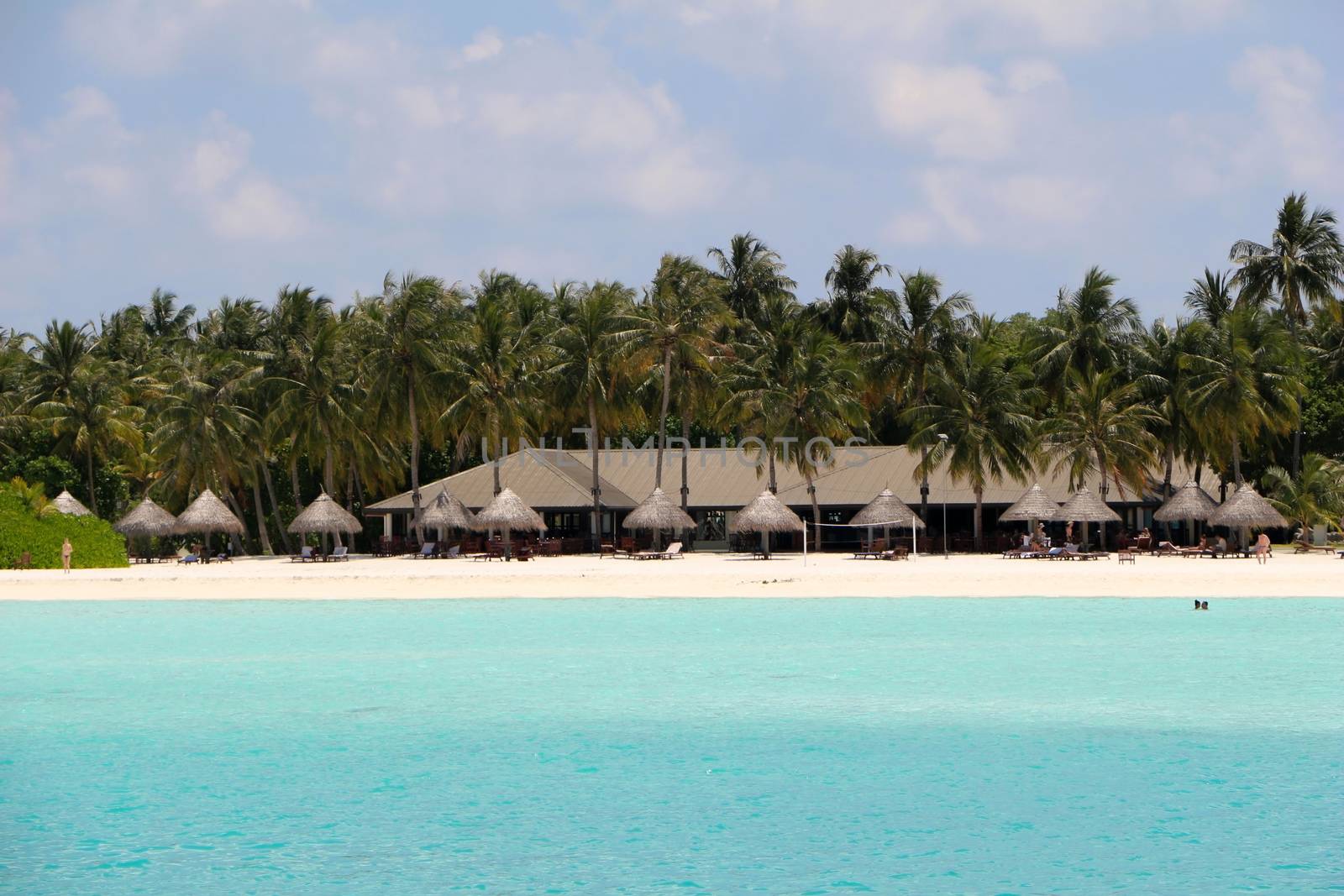 white beach with coconut palms and bungalows on the Maldives by evolutionnow