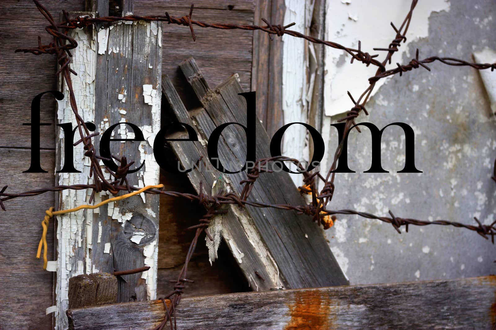 old abandoned grey wooden fence barbed wire