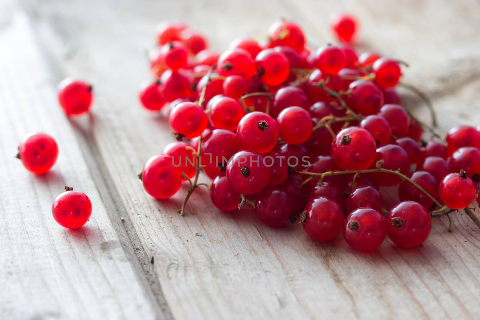 Fresh red currants and mint on wooden table