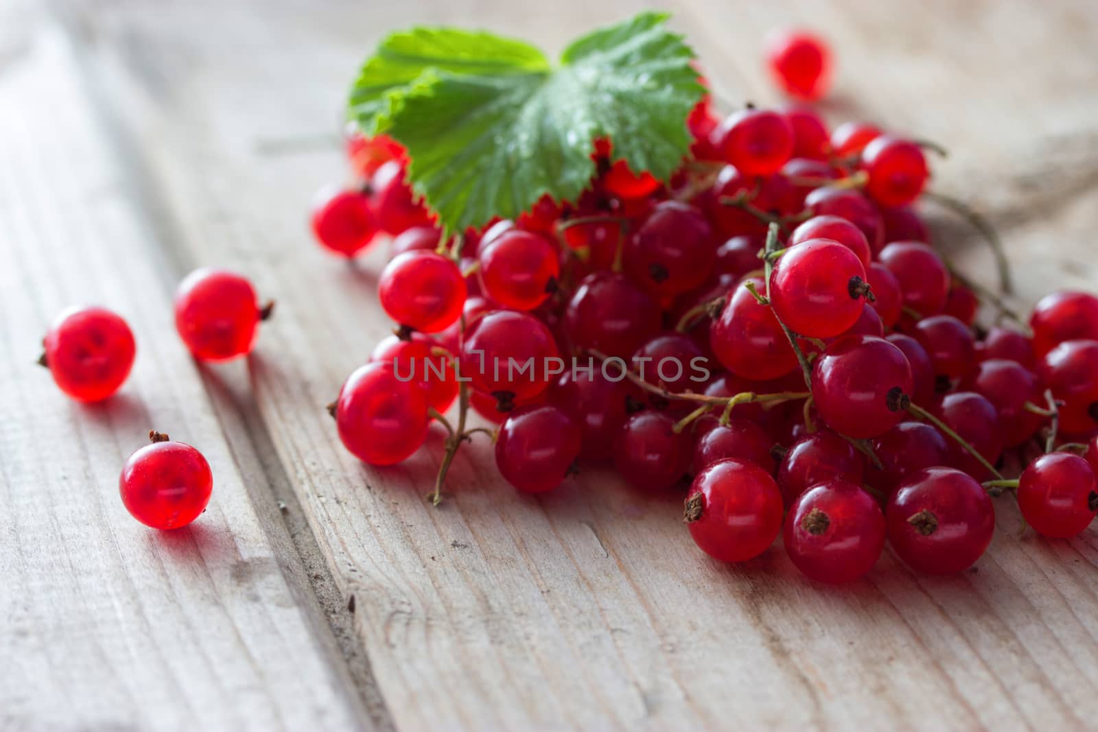 Fresh red currants and mint on wooden table