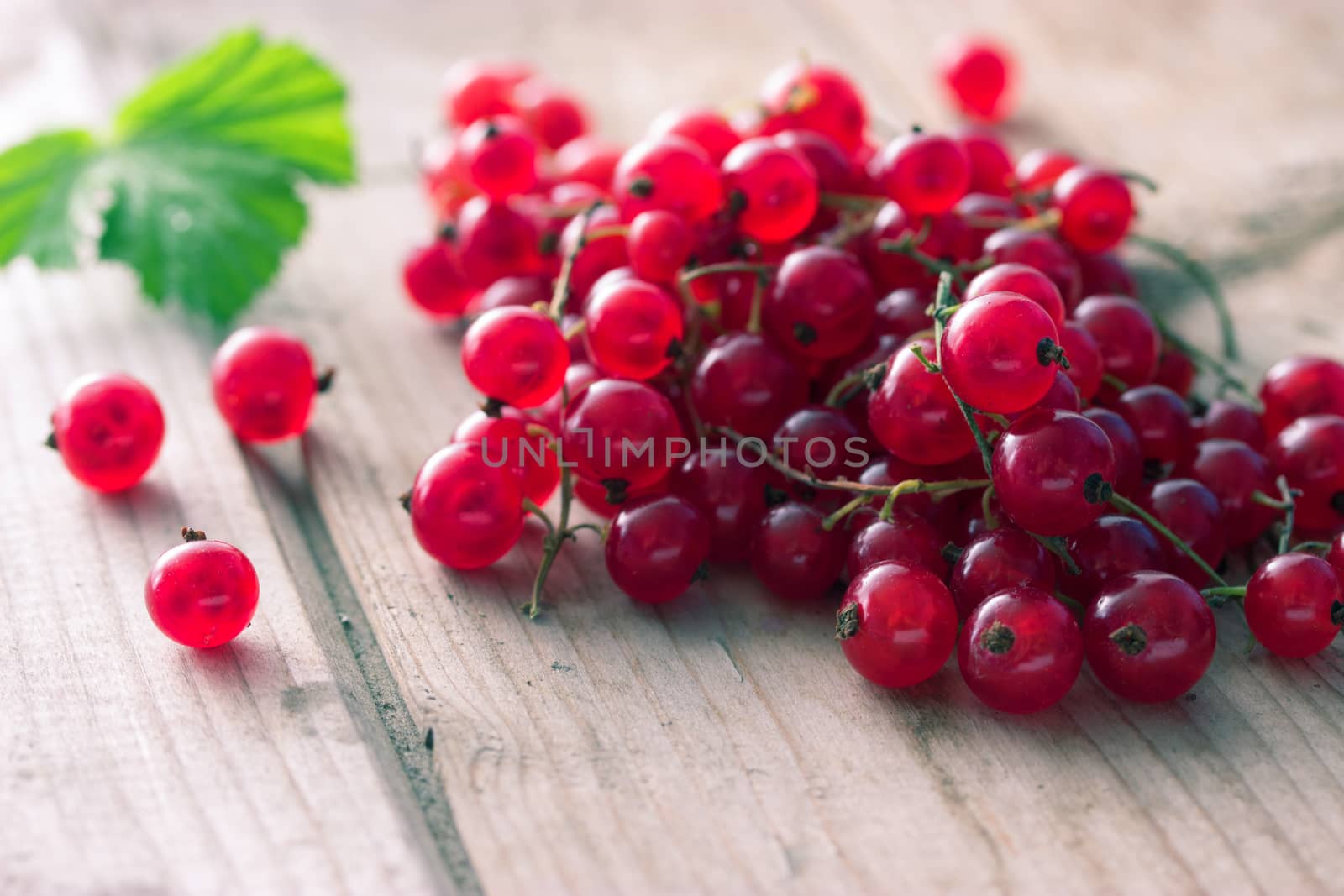 Fresh red currants and mint on wooden table