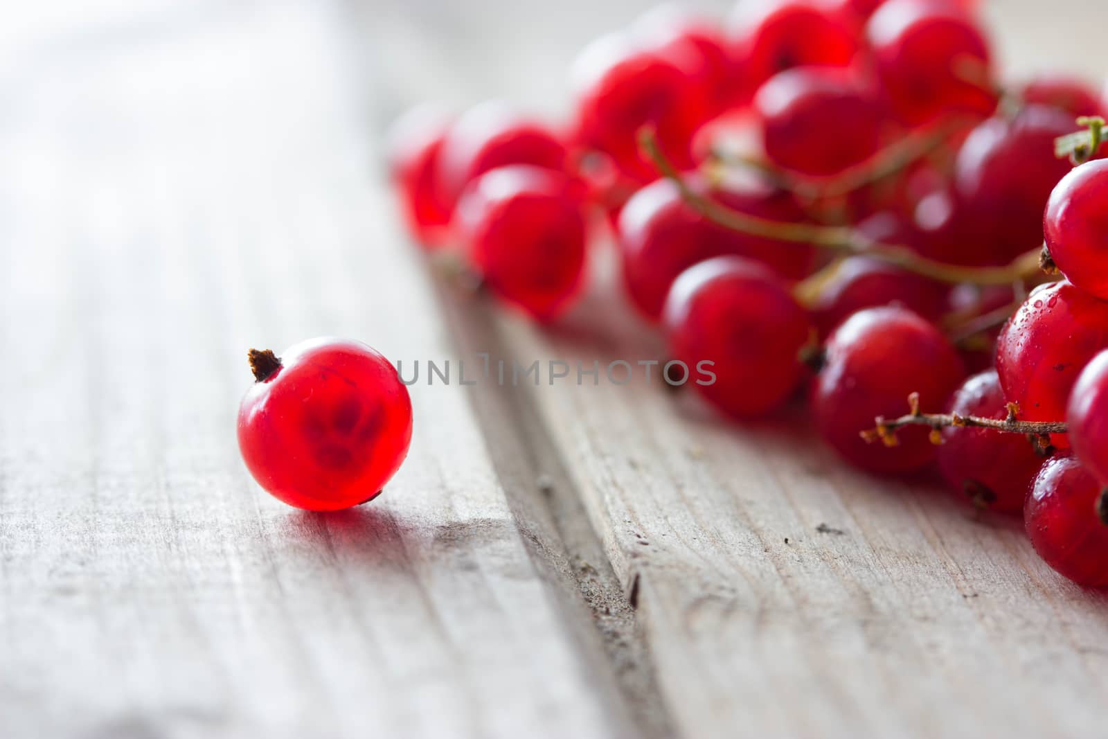 Red currants on wooden table by liwei12