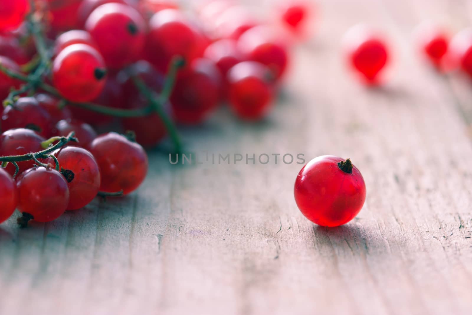 Red currants on wooden table. close up toned