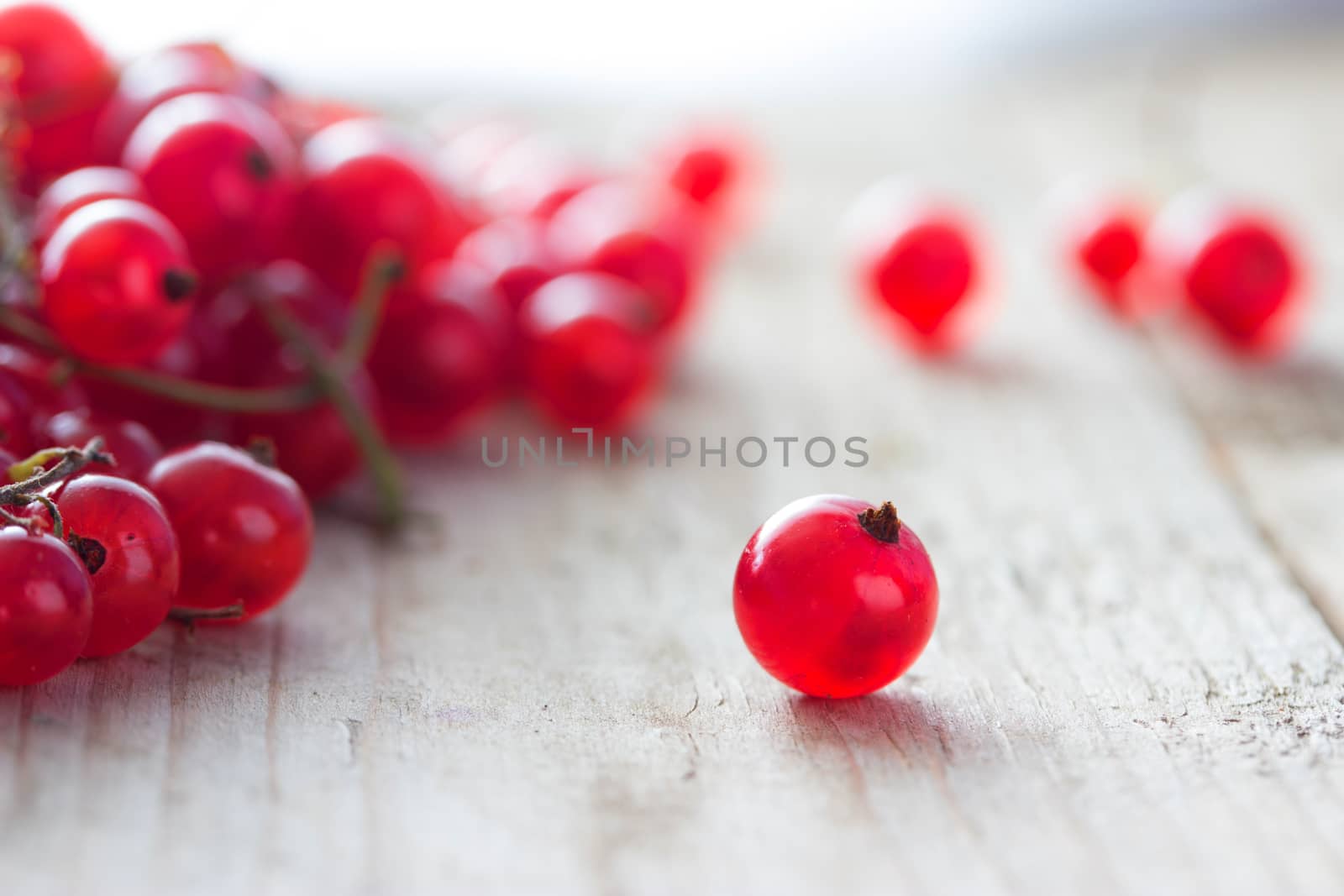 Red currants on wooden table. close up toned
