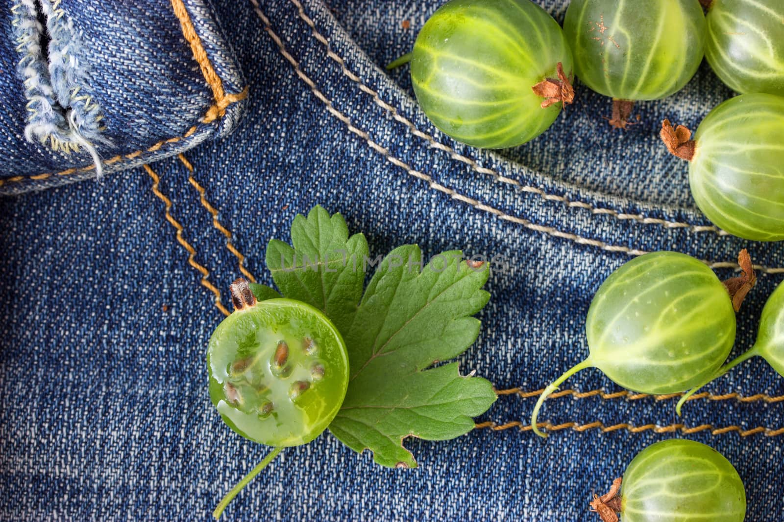 green ripe gooseberry on blue jeans background