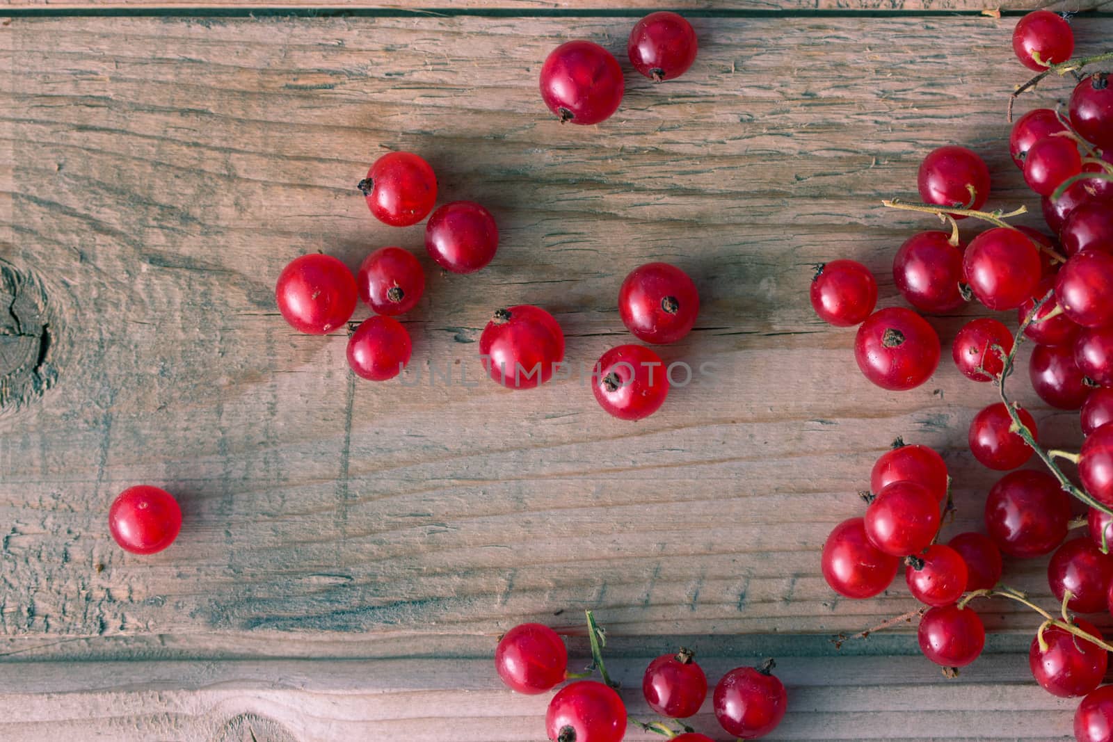 Red currants on wooden table. close up toned