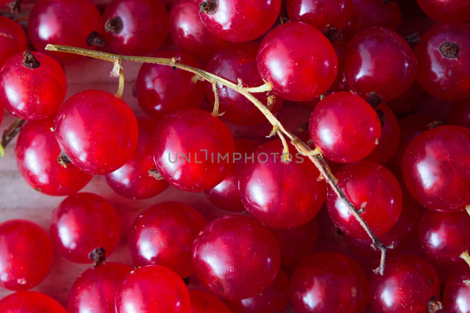 ripe red currant background. close up toned