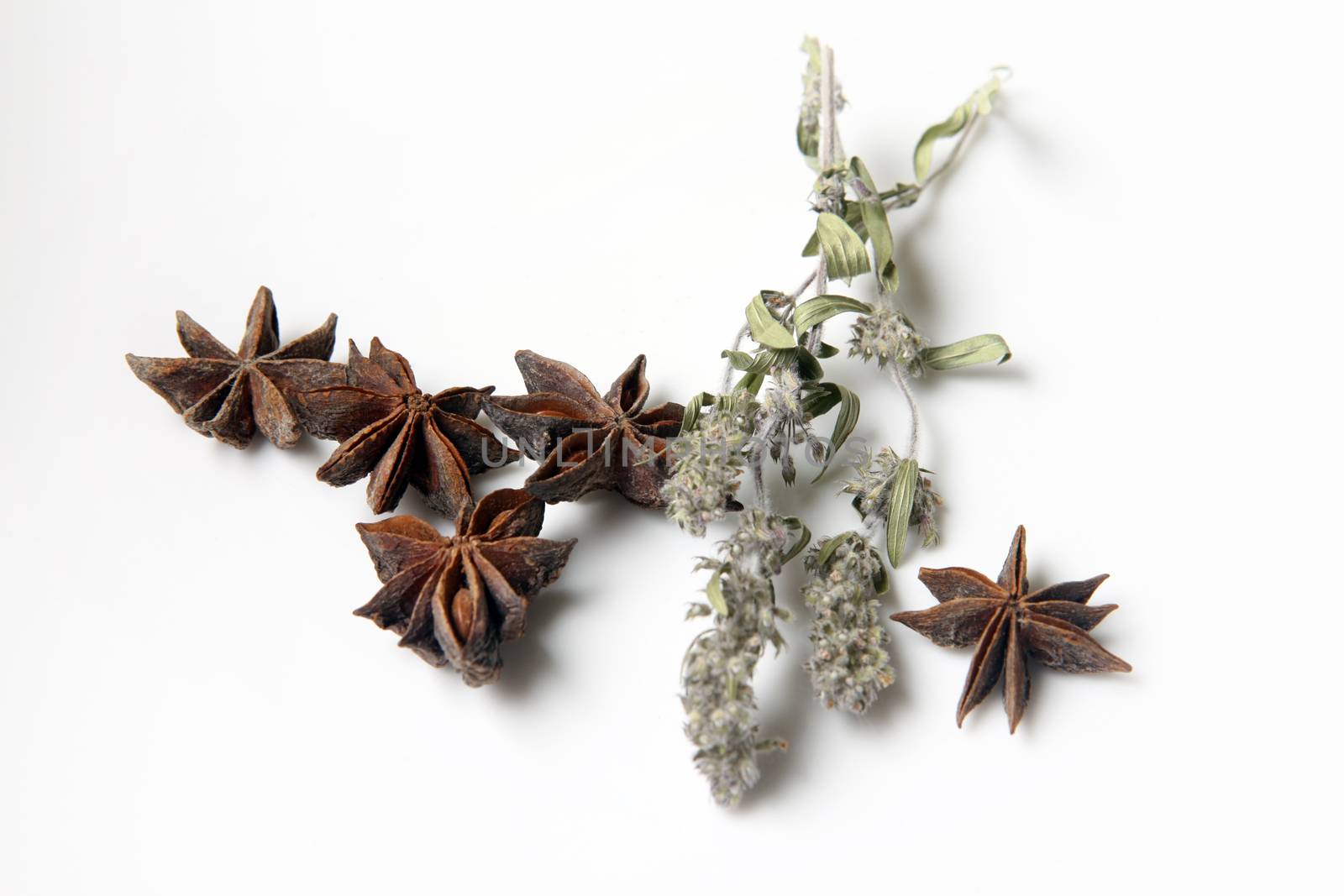 Star anise spice fruits and mint isolated on white background