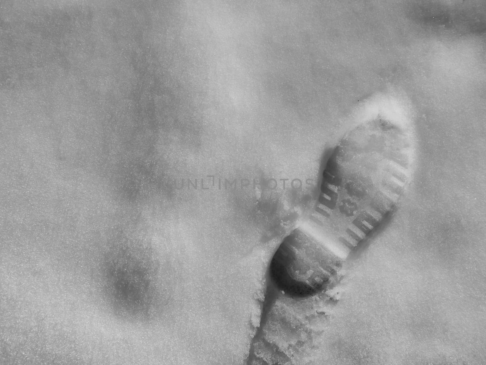 a single footprint in the snow