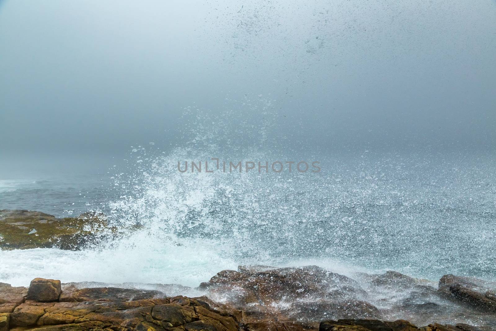 A morning fog lays over the Schoodic Peninsula at Acadia National Park in Maine.