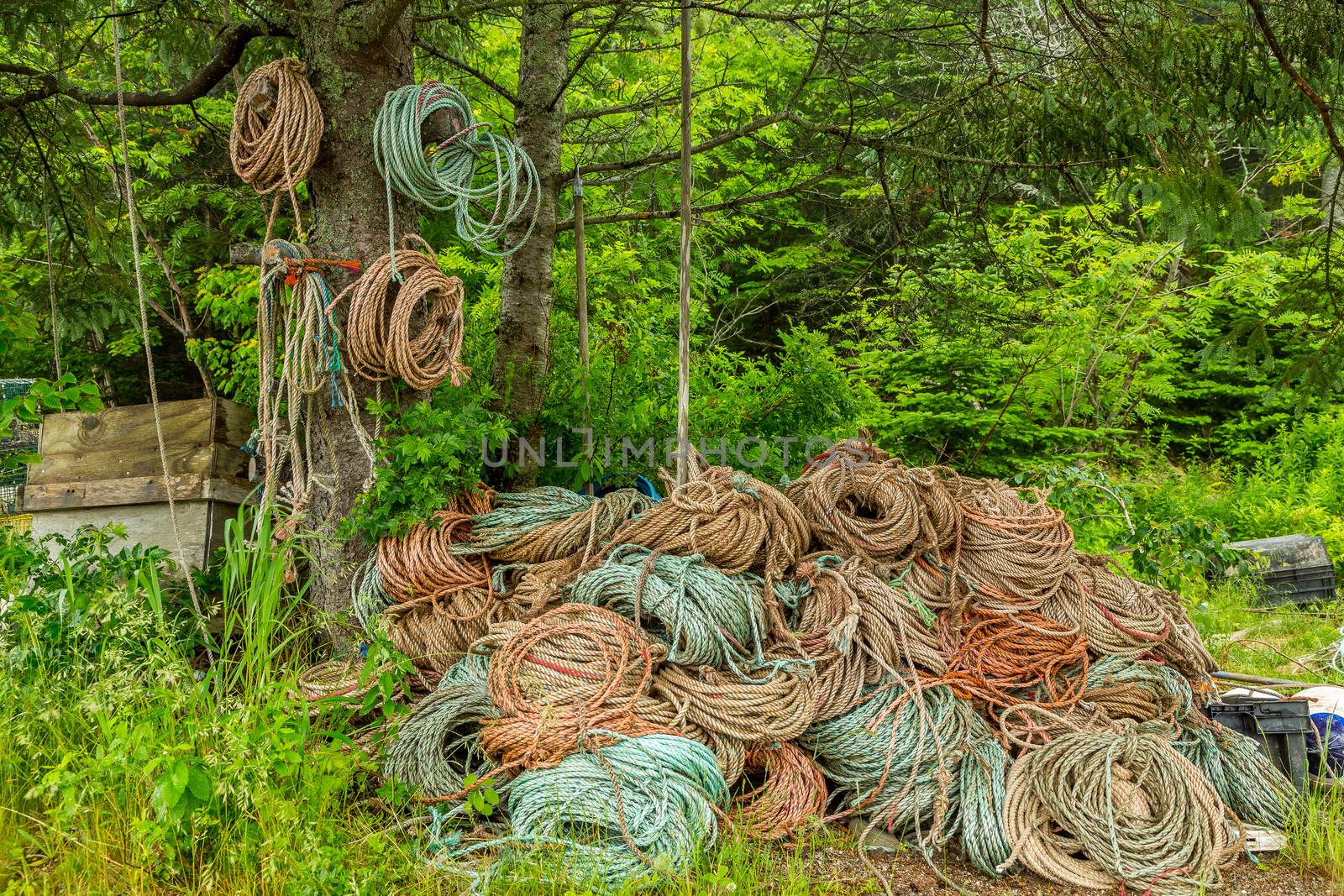 Large quantities of rope are necessary to have on hand when setting and pulling lobster traps.