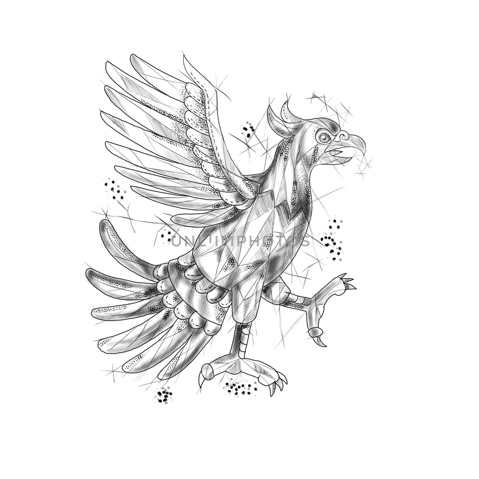 Cuauhtli Glifo Eagle Fighting Stance Tattoo by patrimonio