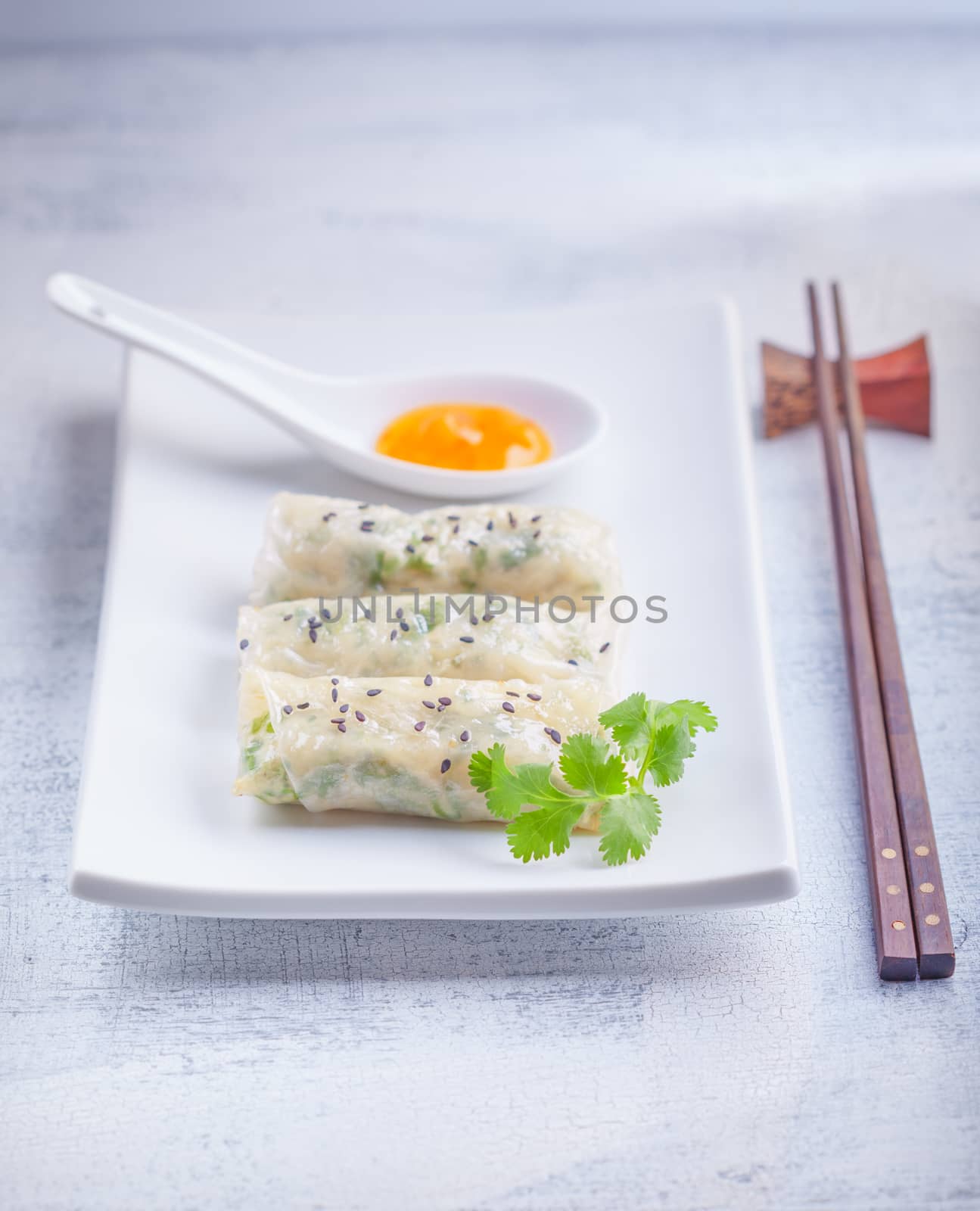 Spring Rolls with Sauce on a white plate