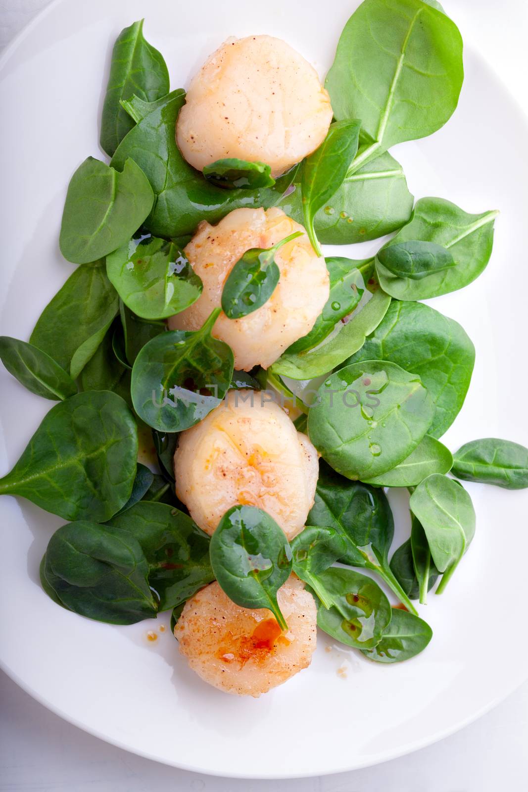 Scallop Salad with greenery by supercat67