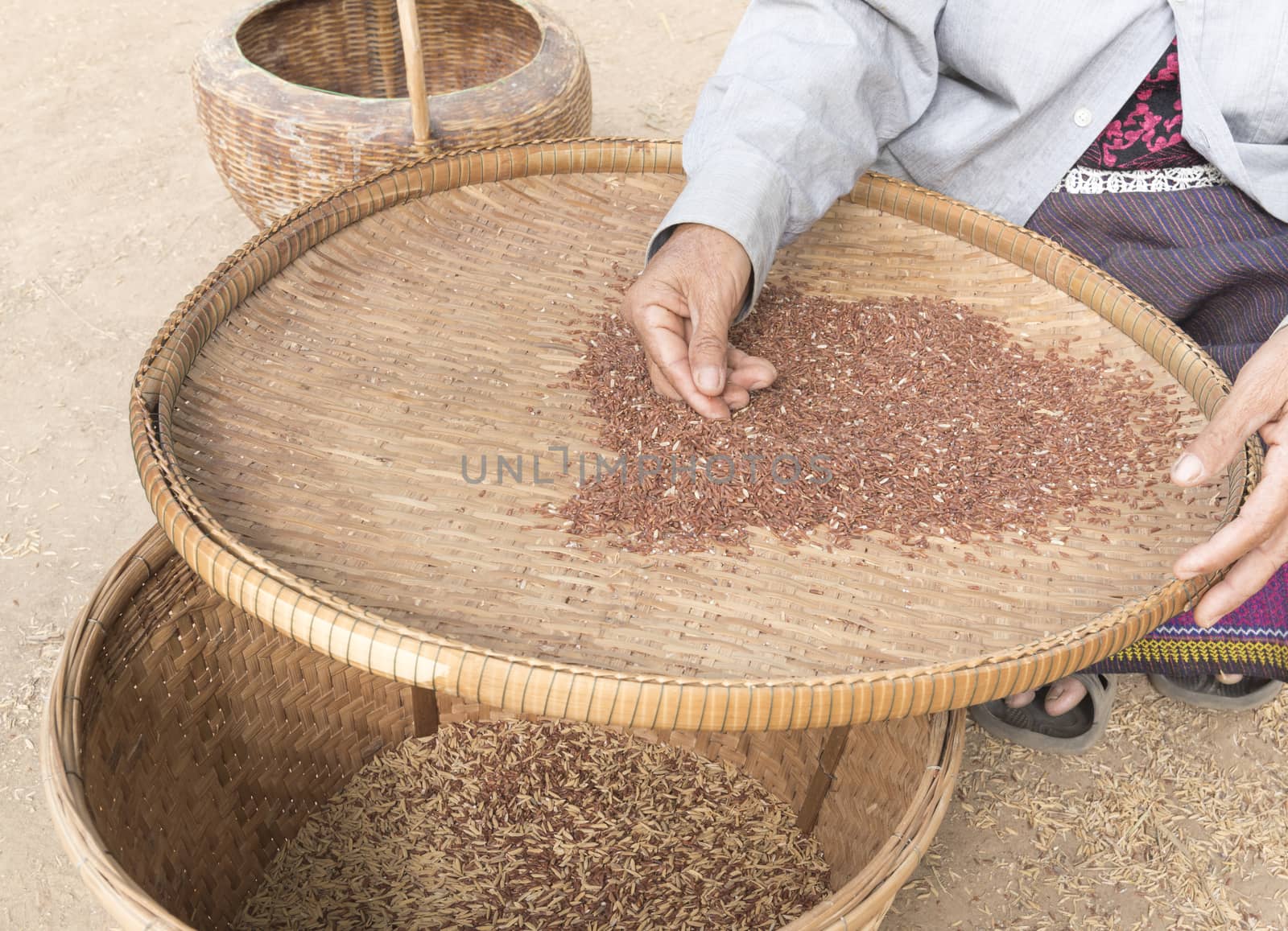 Farmers sit sorting and grain of rice apart.