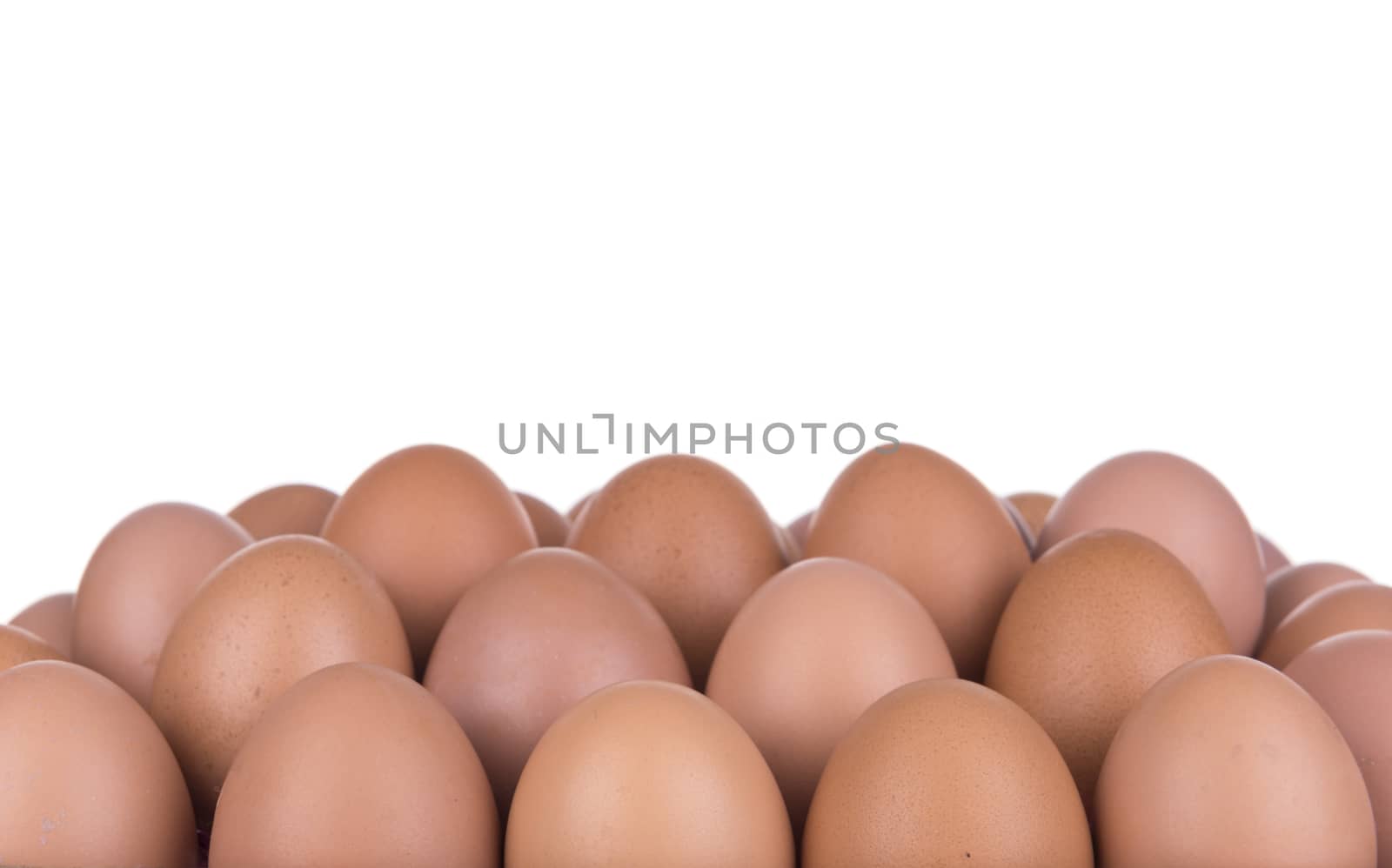 Close up of an egg isolated on white background