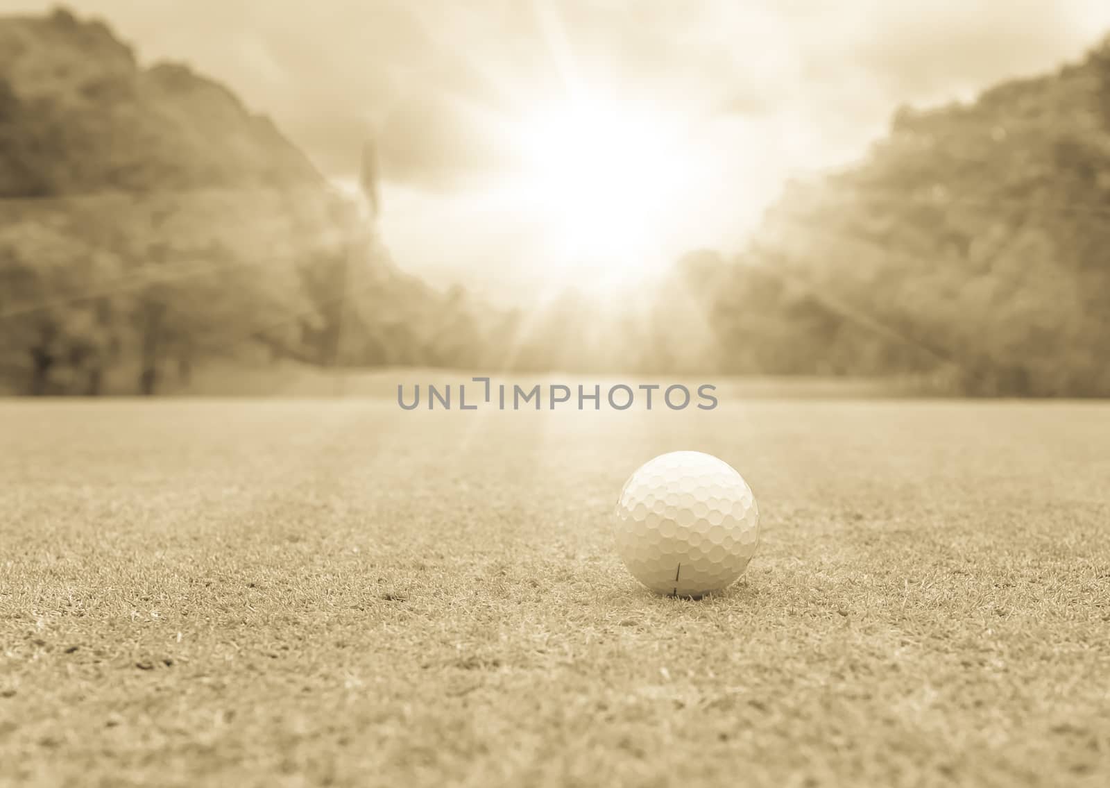 Golf ball on green grass and sunset light.