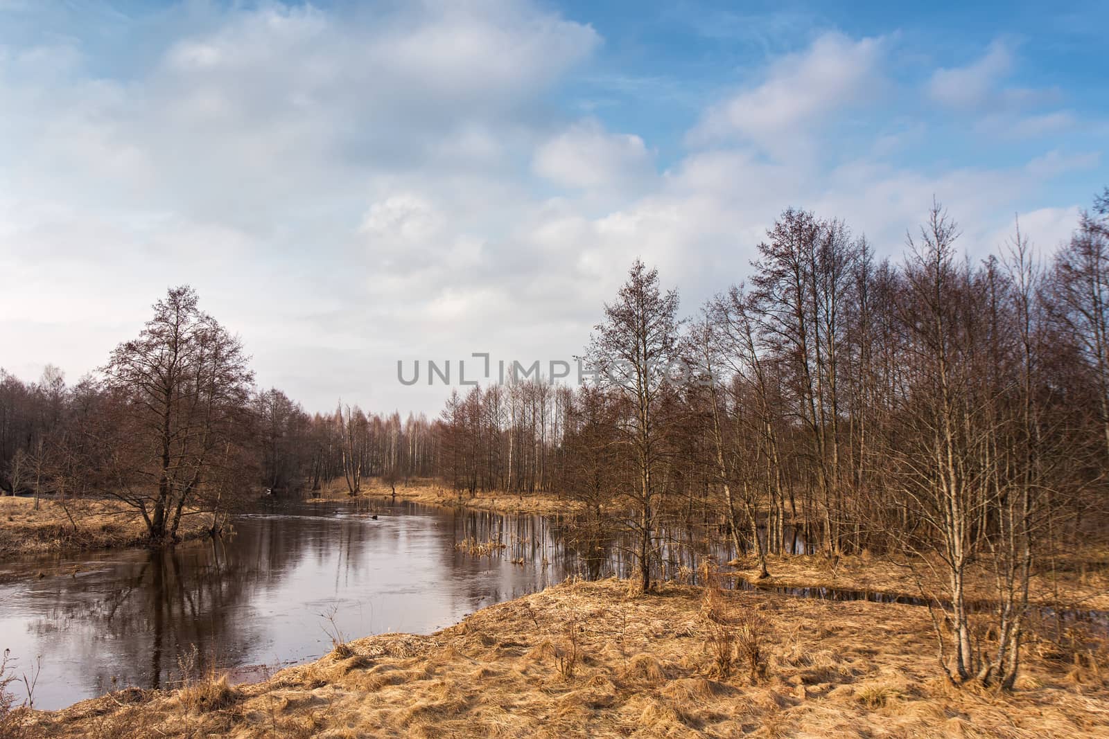 Spring stream. Early spring on small river. Mud season. Sunny spring