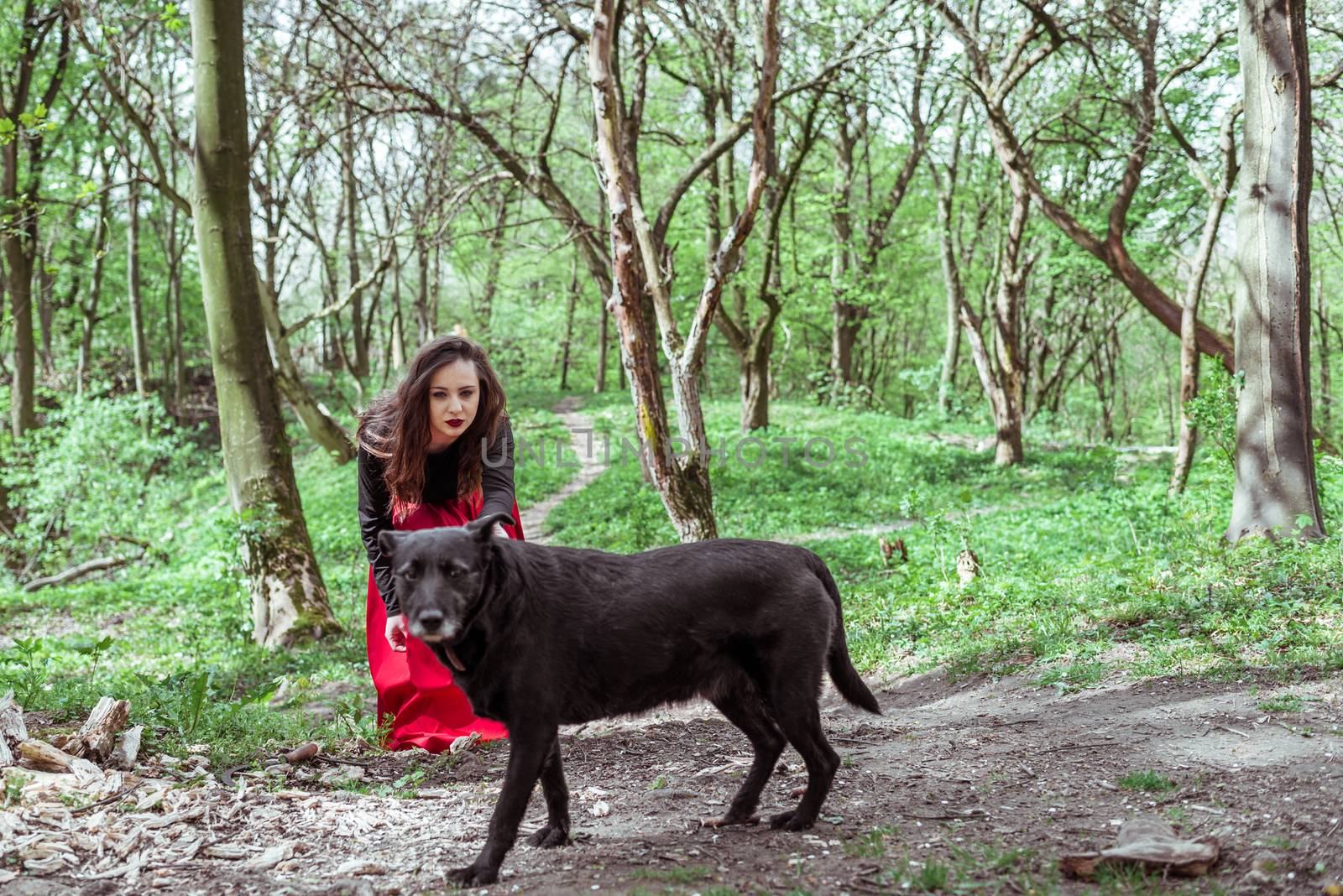 mysterious woman with a black dog by okskukuruza