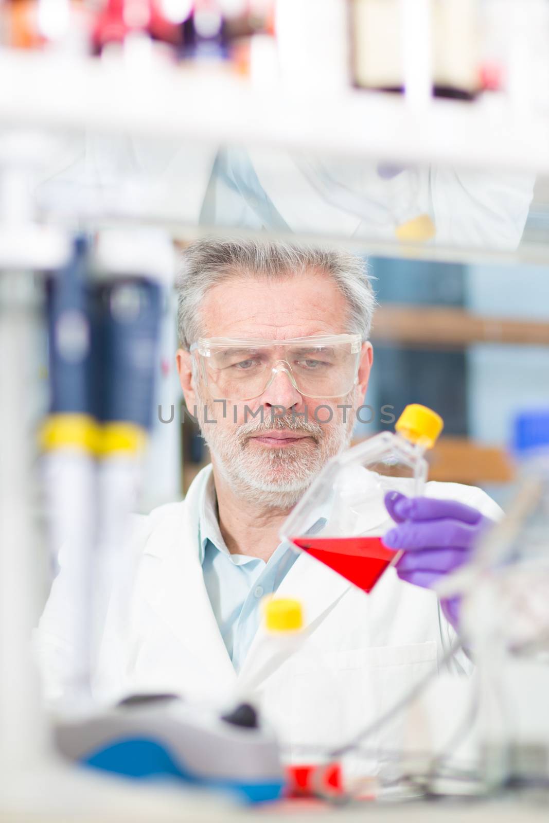 Life scientist researching in laboratory. Life sciences study living organisms on the level of microorganisms, viruses, human, animal and plant cells, genes, DNA...