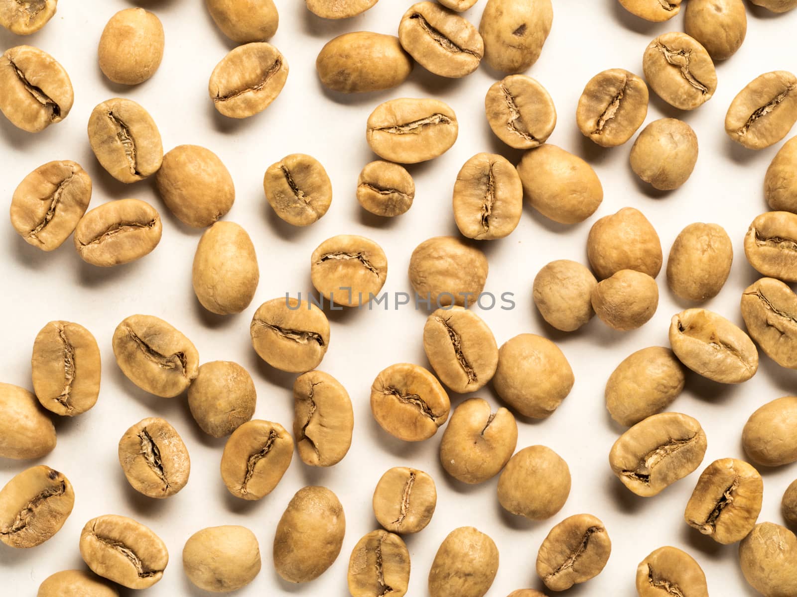 White coffee beans on white background. Top view or flat lay. Closeup. Image with natural colors