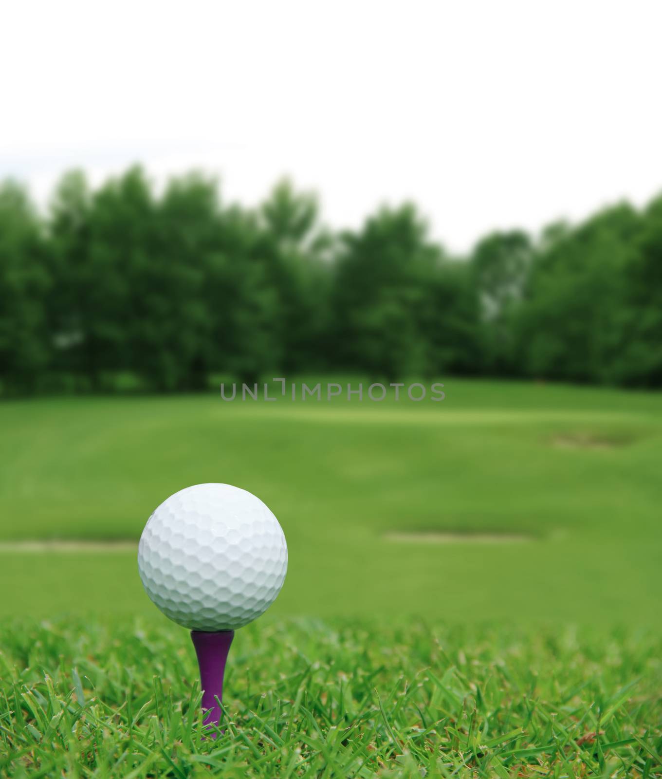 Golf ball on course by destillat