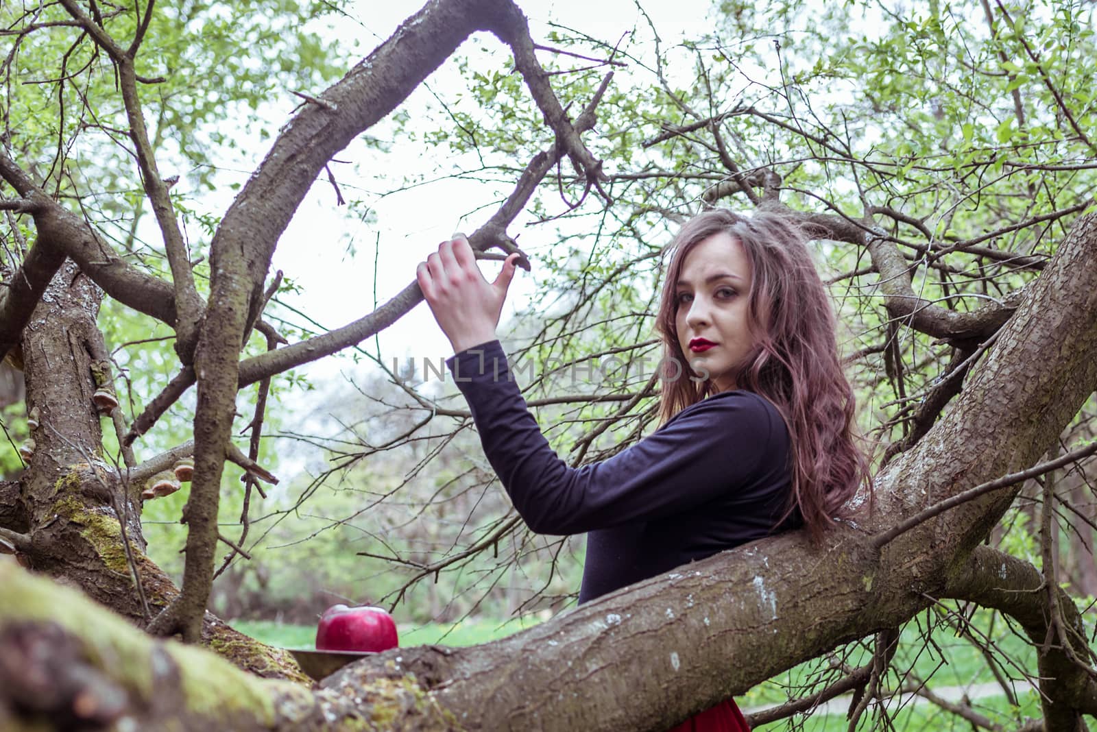 close-up beautiful woman in a red dress standing near a tree in the forest