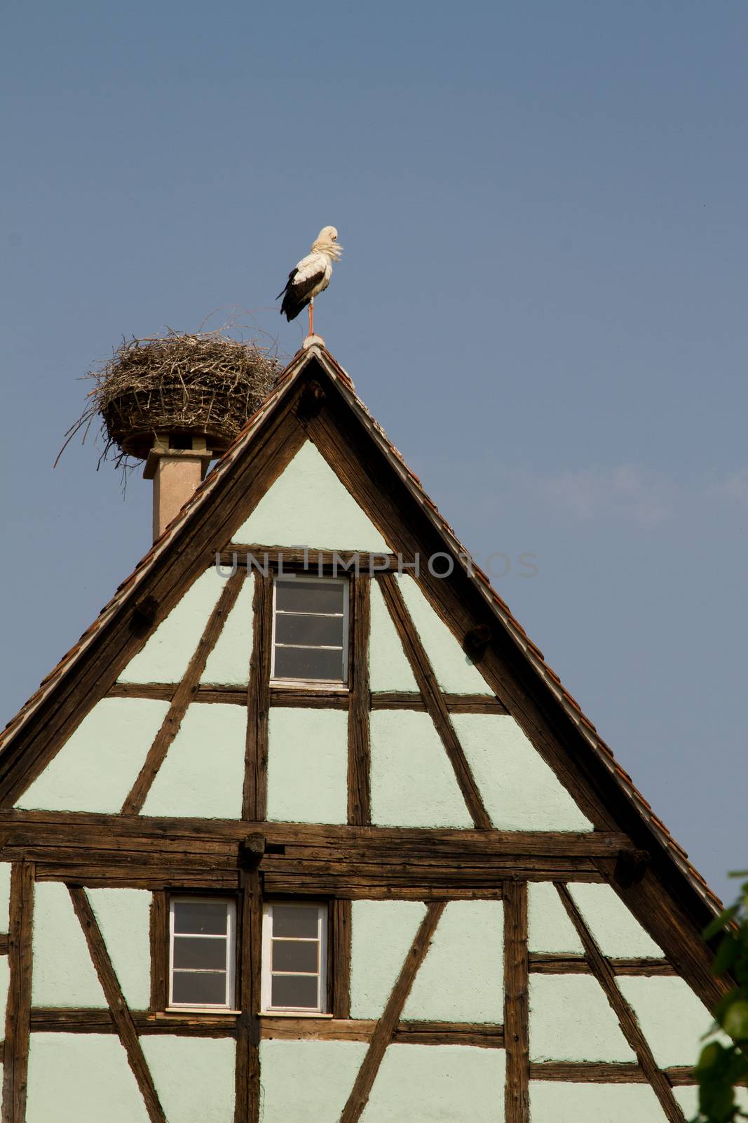 The Écomusée d’Alsace is the largest living open-air museum in France and shows an Alsatian village from the early 20th century. It illustrates what rural life was like in Alsace and invites visitors to find out about popular traditions and art of the region, including buildings and artefacts, craftsmen at work.  From the portal http://www.ecomusee.alsace/en/exploring-the-ecomusee/presentation