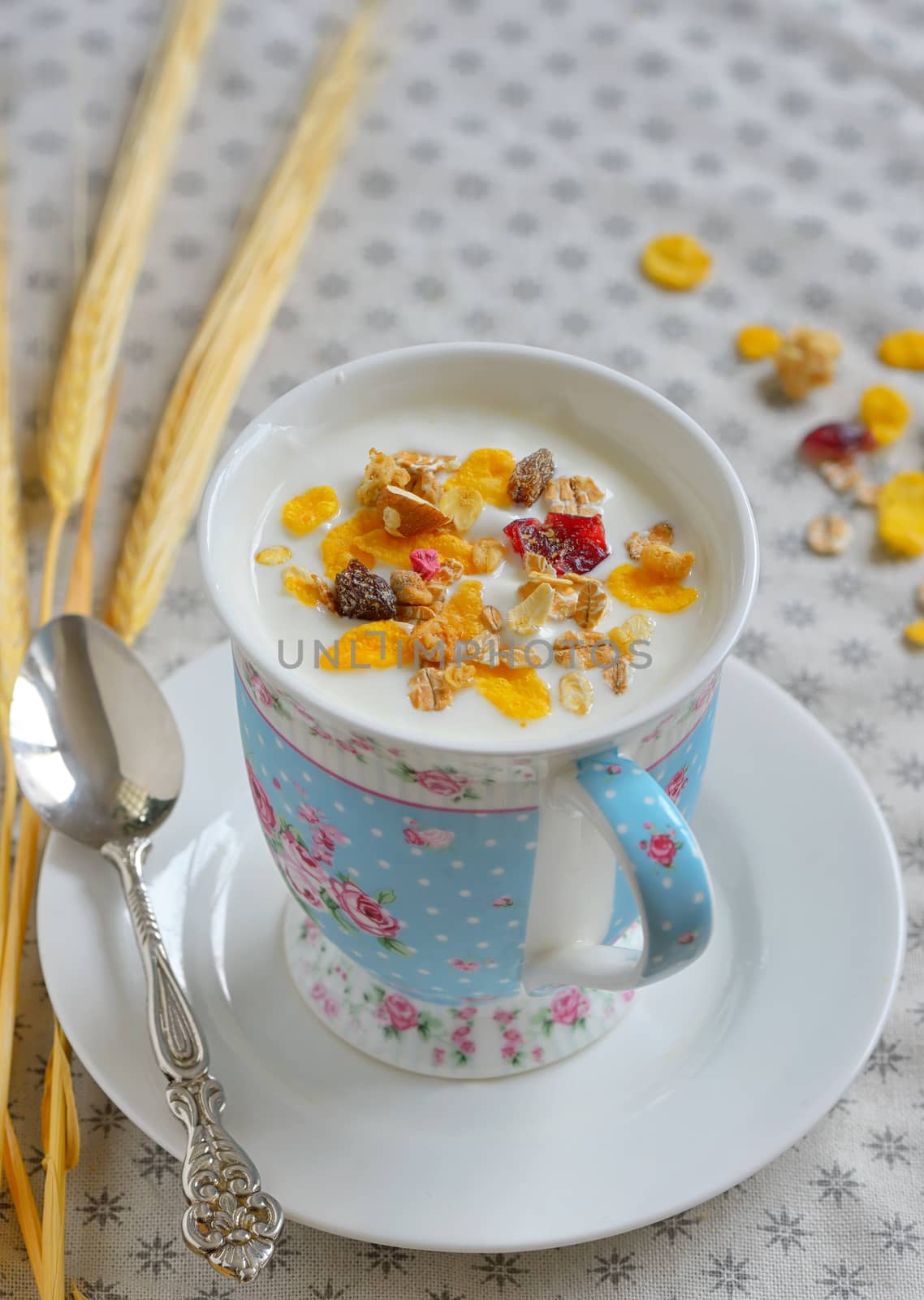 Cup of yogurt with crunchy cereals
