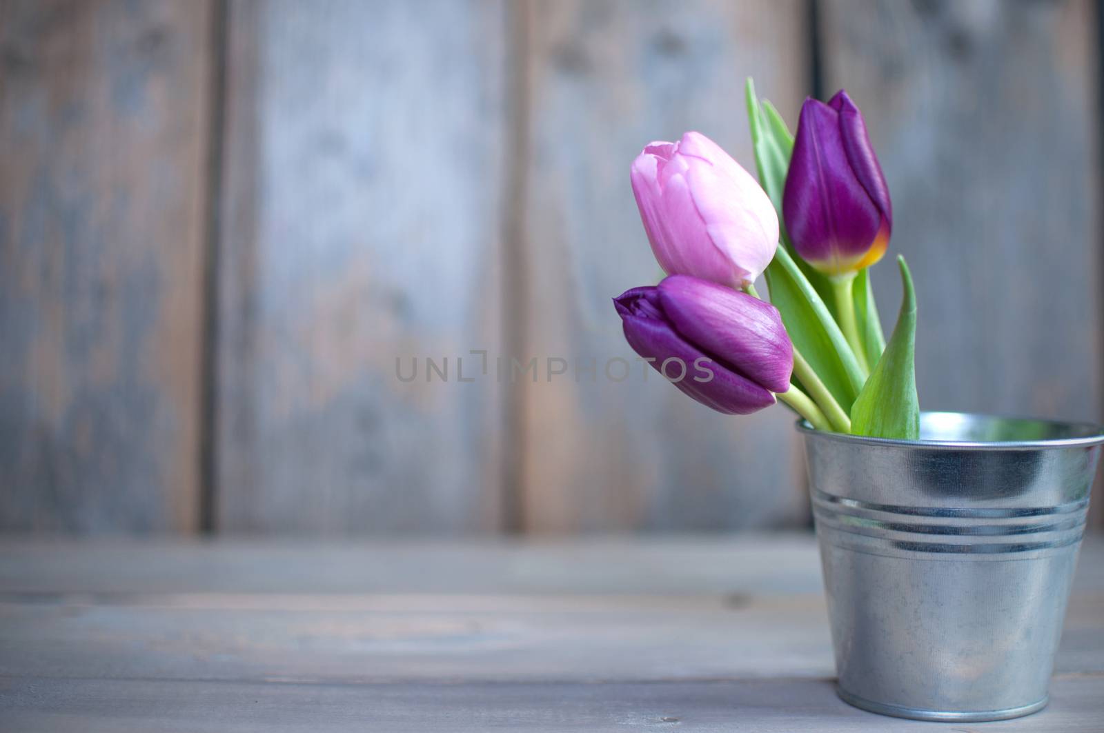 Spring tulips in a pot over a wooden background with space