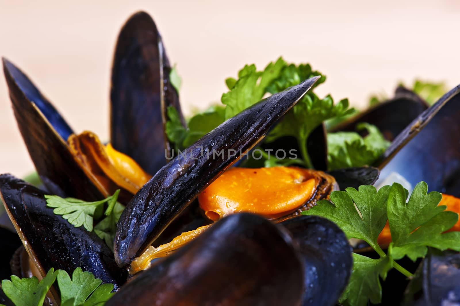 Fresh mussels braised in white wine with dill