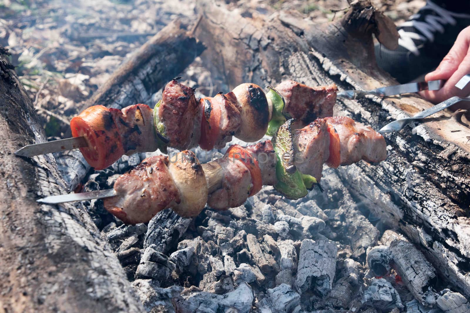 Juicy slices of meat with sauce prepare on fire. fresh hot grilled chicken shish kebab barbecue on grid over charcoal