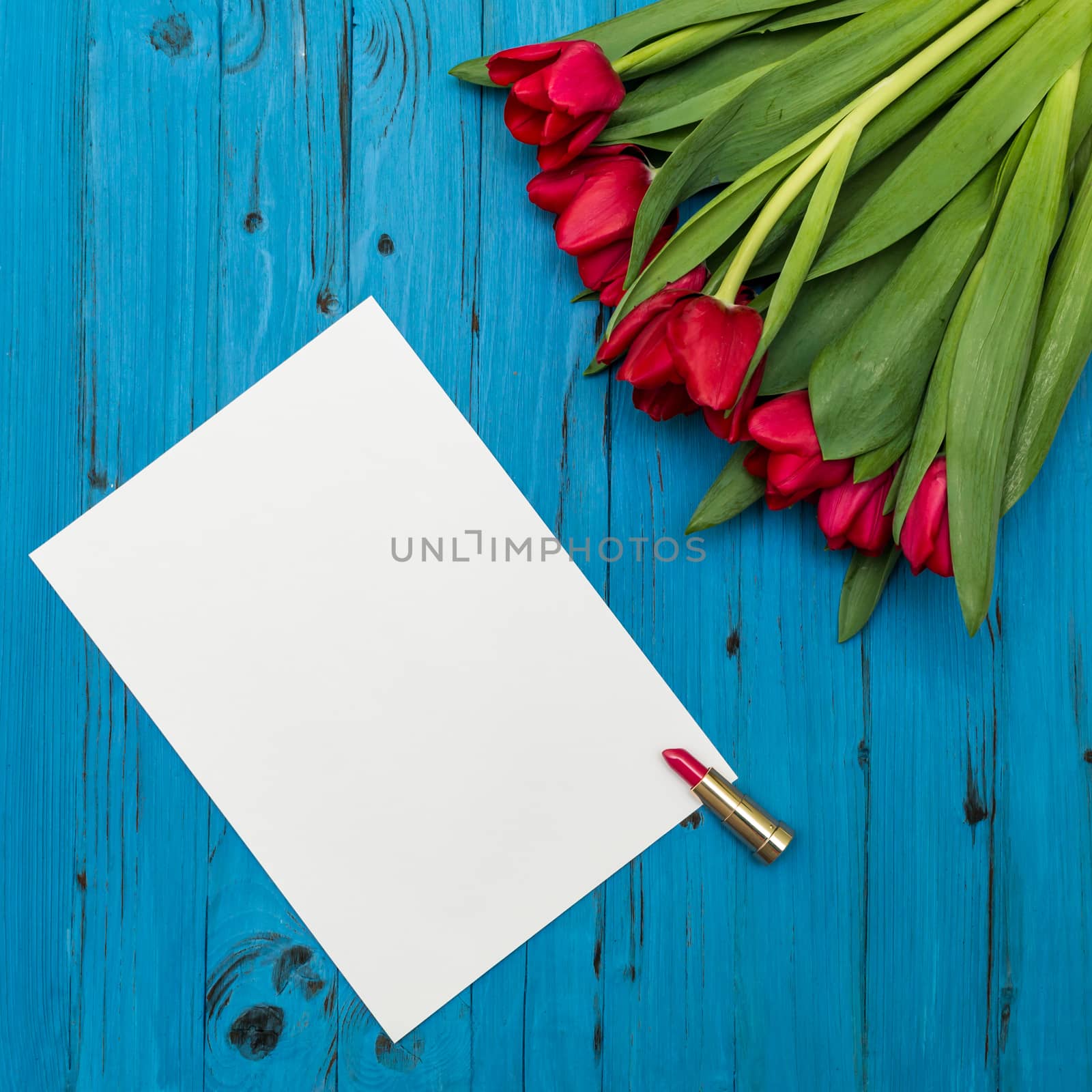 red tulips, lipstick and a white sheet of paper for your greetings on the background of blue wooden board