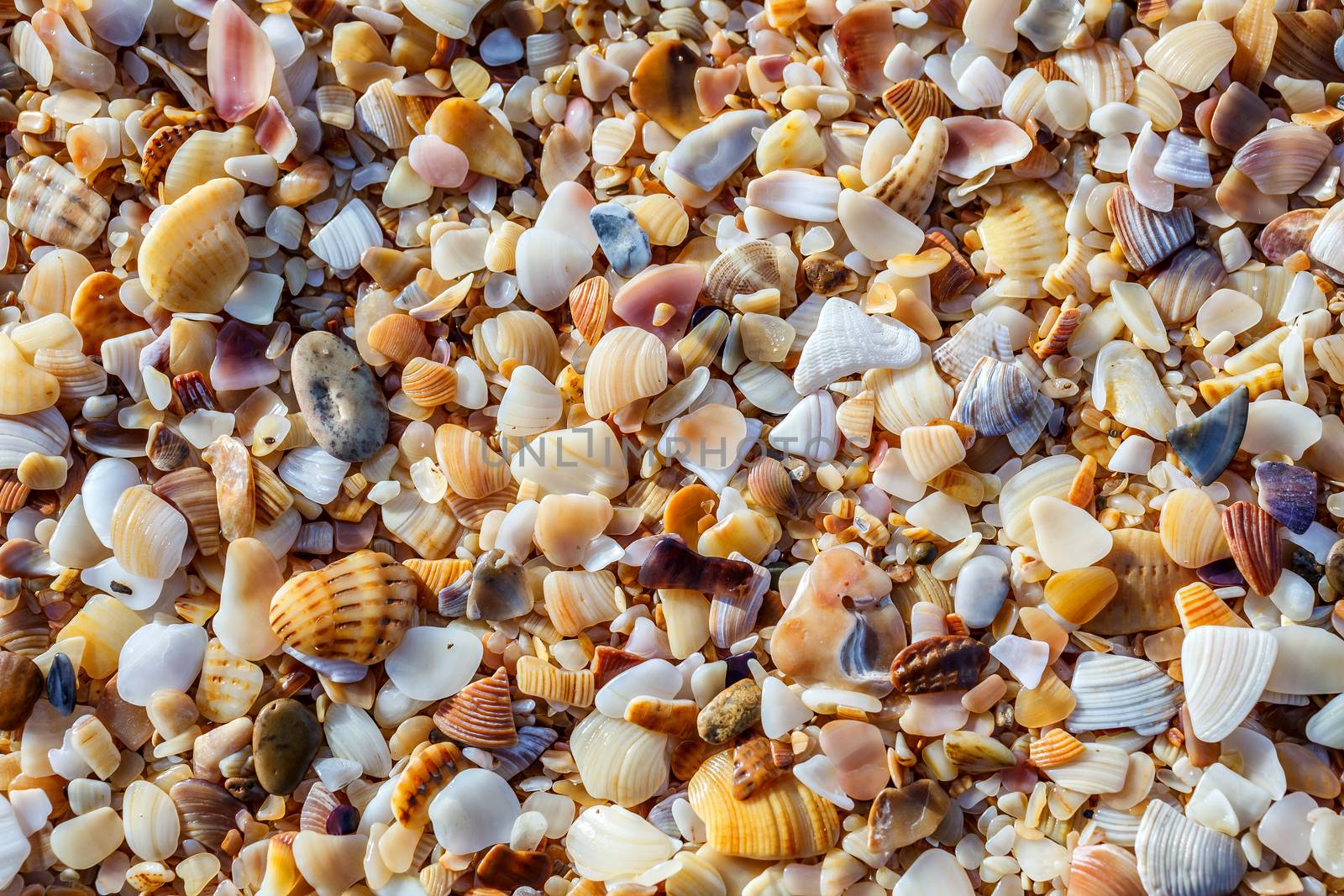 Sea pebbles closeup by fogen