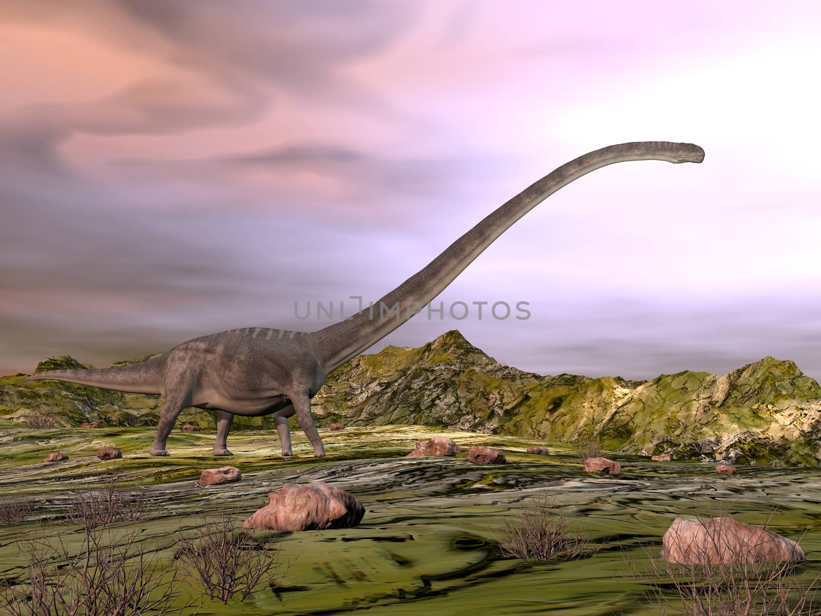 Omeisaurus walking in the desert by sunset - 3D render