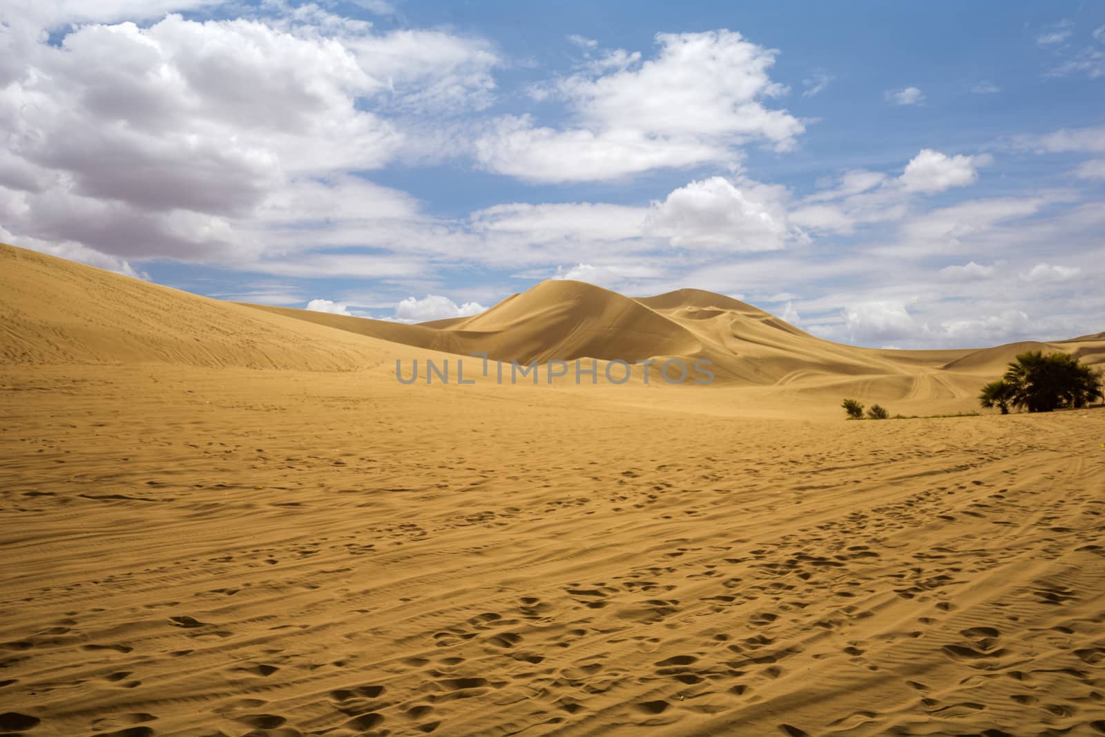 People climb up the dune to sandsurf their way down