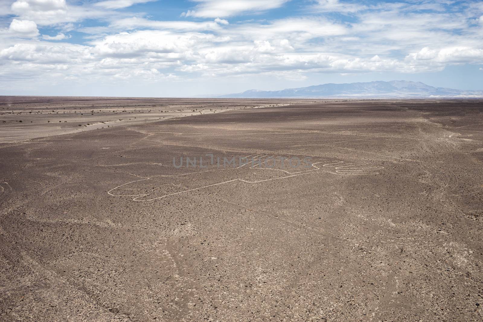 Situated in the south region of Peru, the Nazca desert is popular for its mistirious lines drawn on the ground