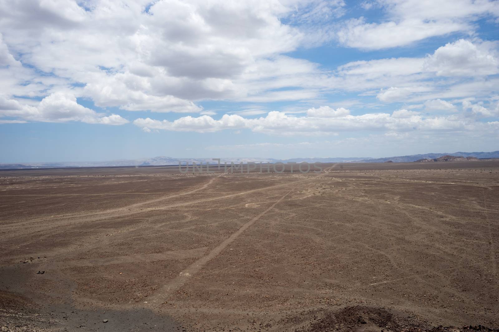 Nazca desert lines by roglopes