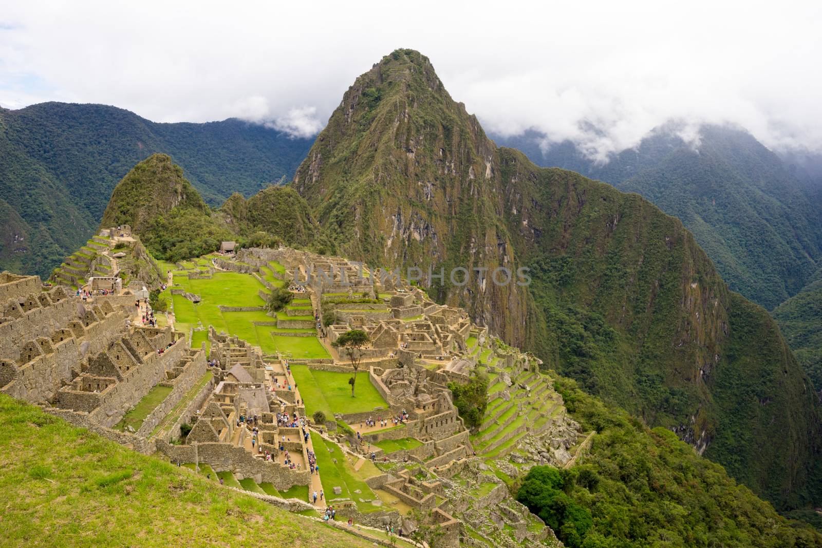 Machu Picchu In Peru by roglopes