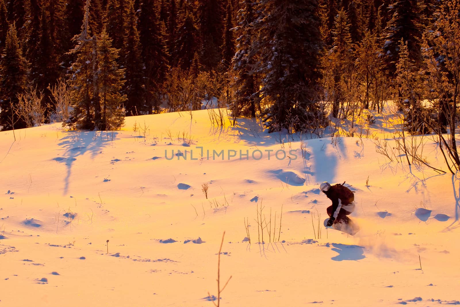 The snowboarder rideing in the forest of Siberia