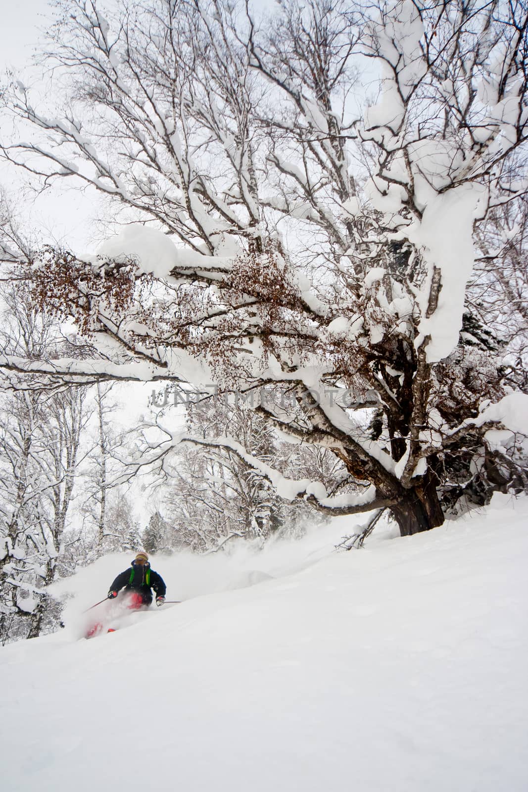 Freerider skiing in Siberia by Chudakov