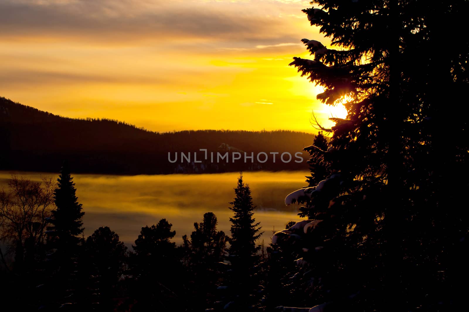 Winter sunset in the forest by Chudakov