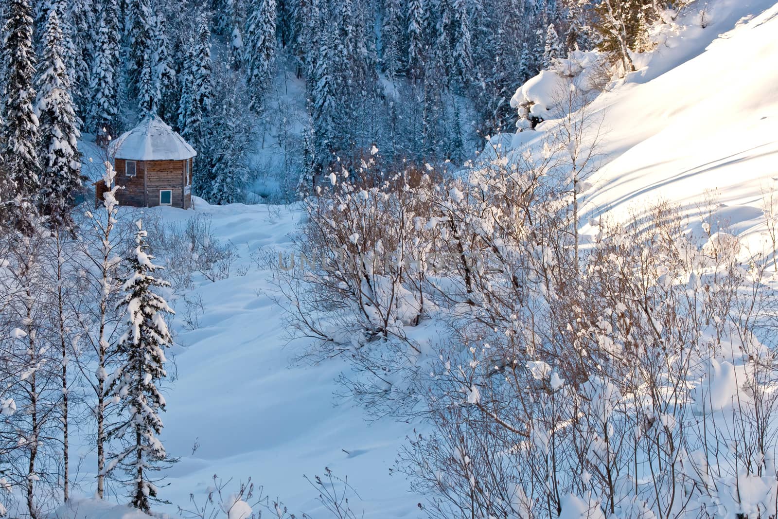 Small house in winter forest by Chudakov