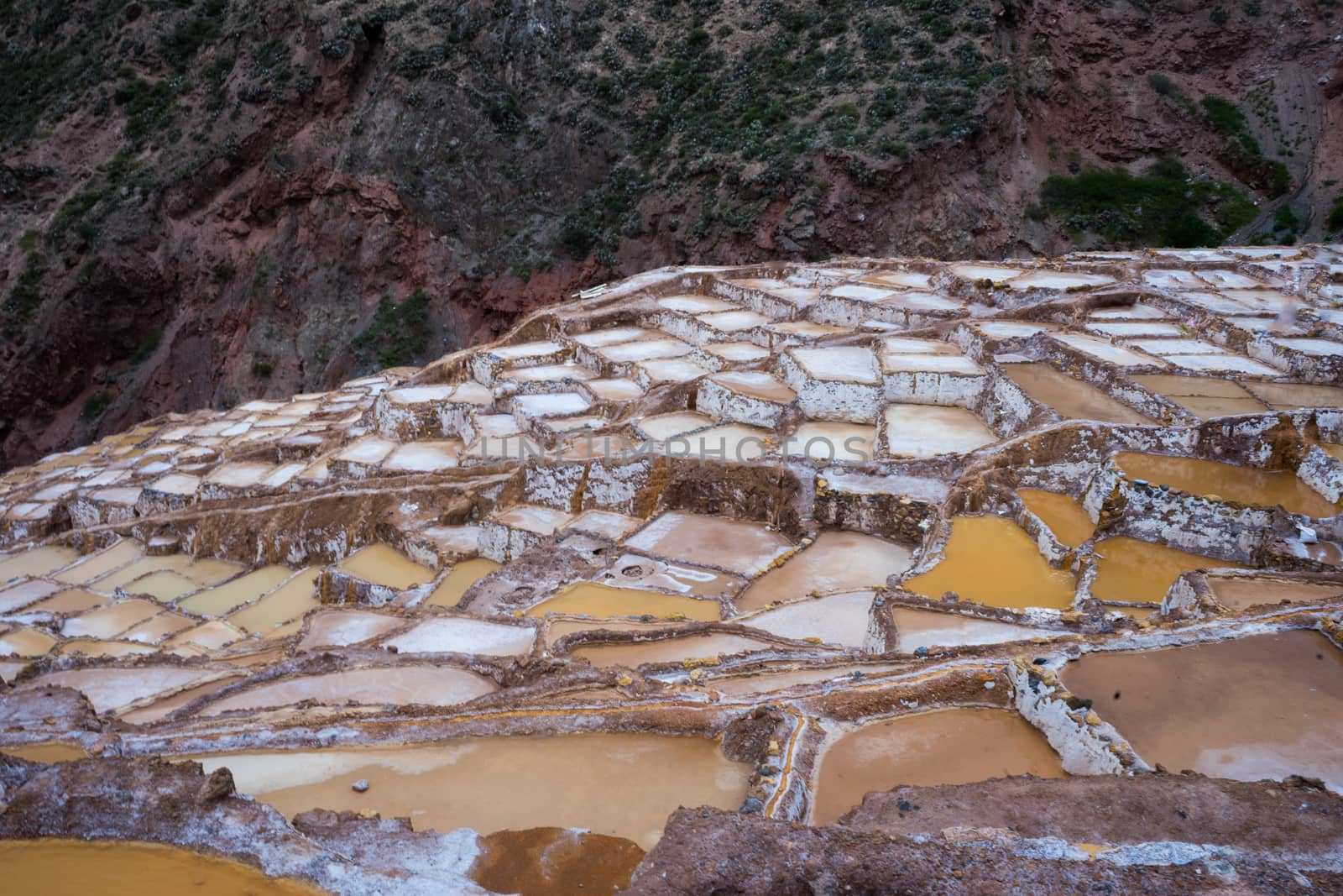 Salt mines, Peru by roglopes