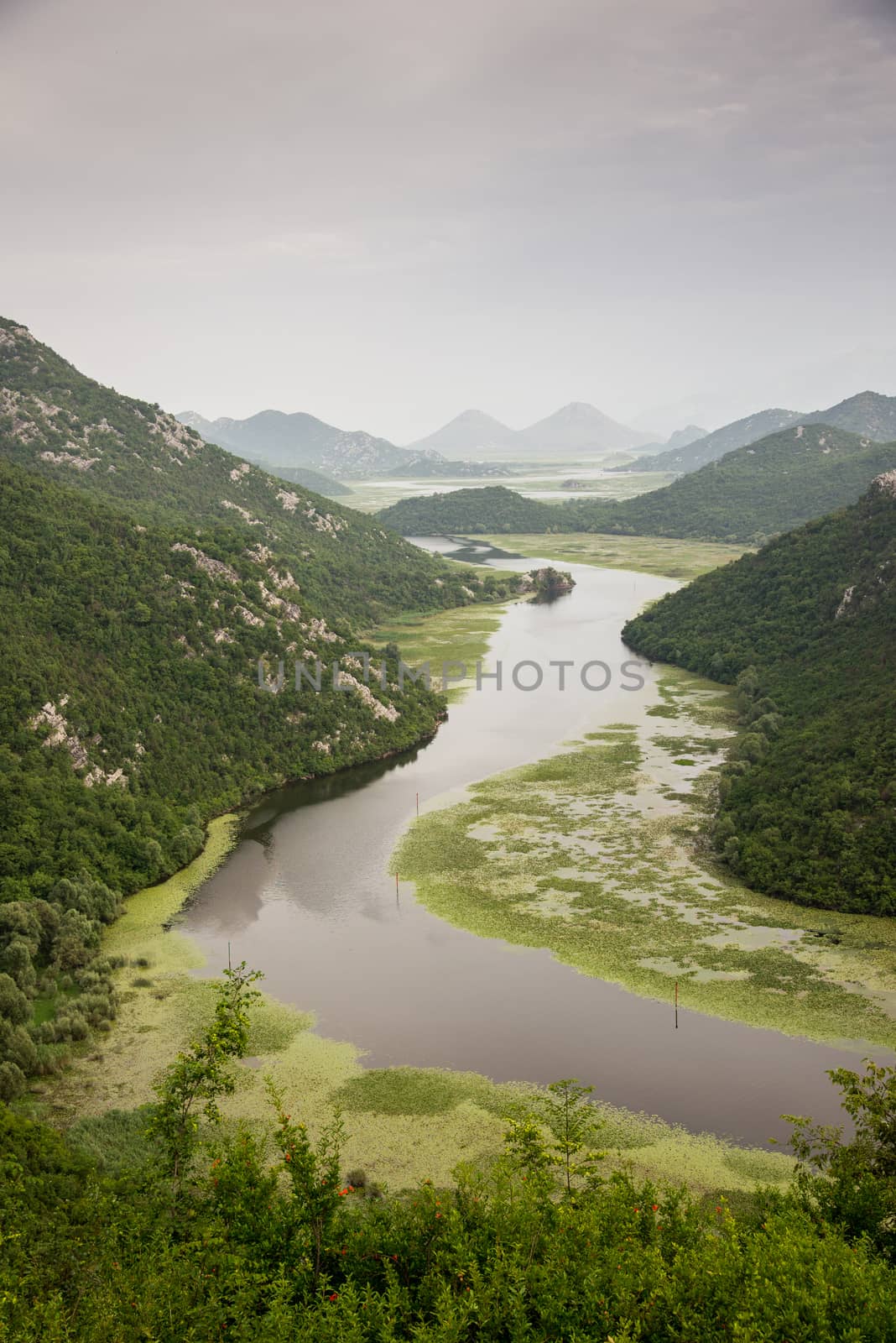 Rijeka Crnojevica, lake Skadar, Montenegro by vlaru