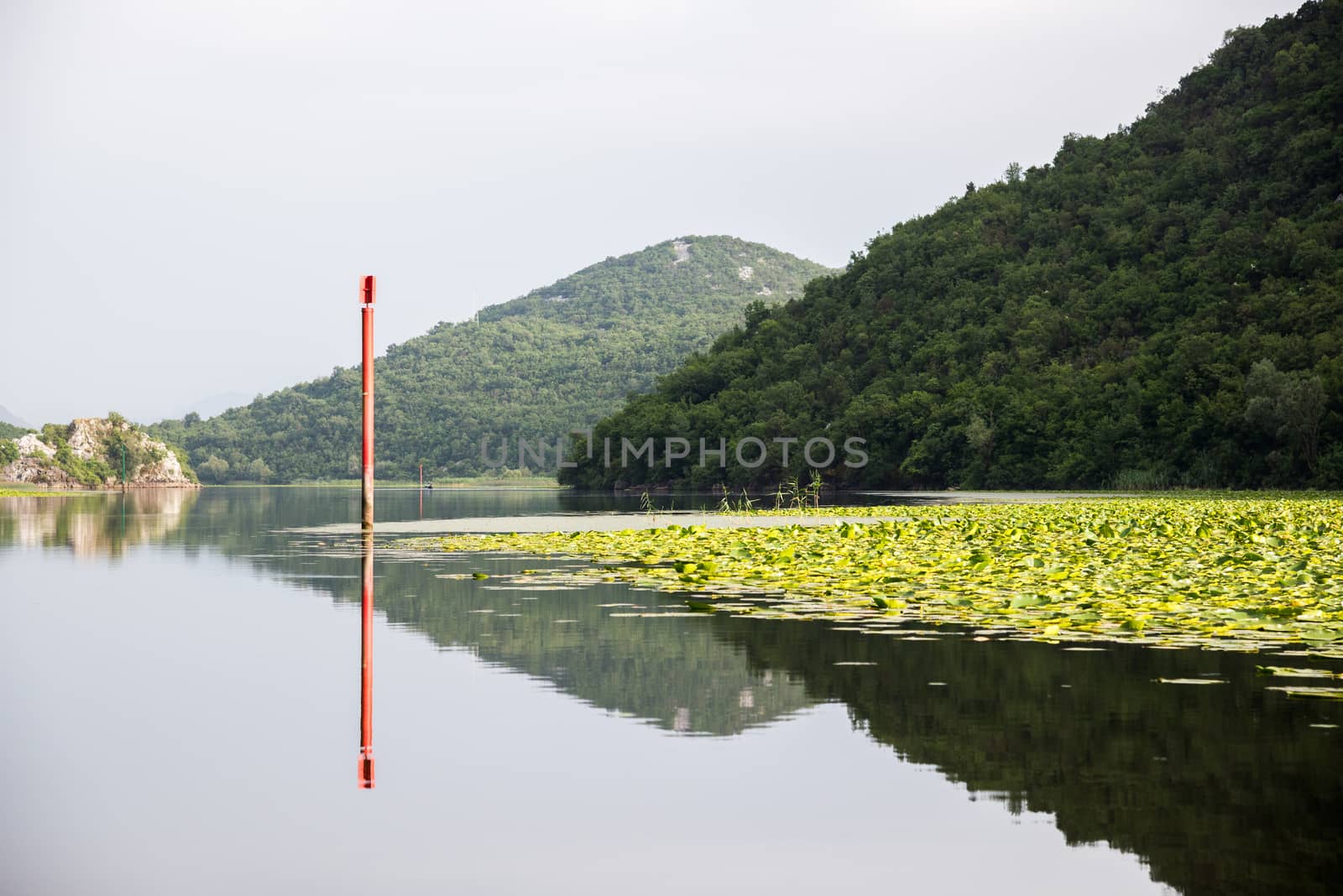 Quiet waters of Lake Skadar in Montenegro by vlaru