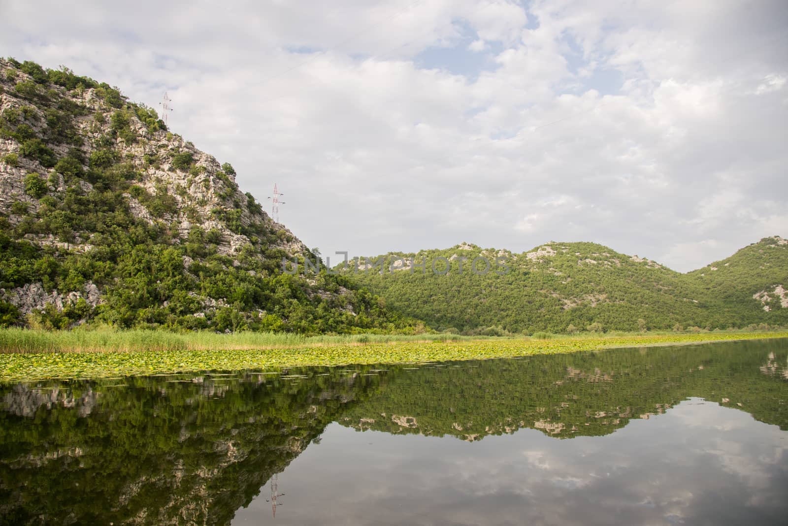 Quiet waters of Lake Skadar in Montenegro by vlaru