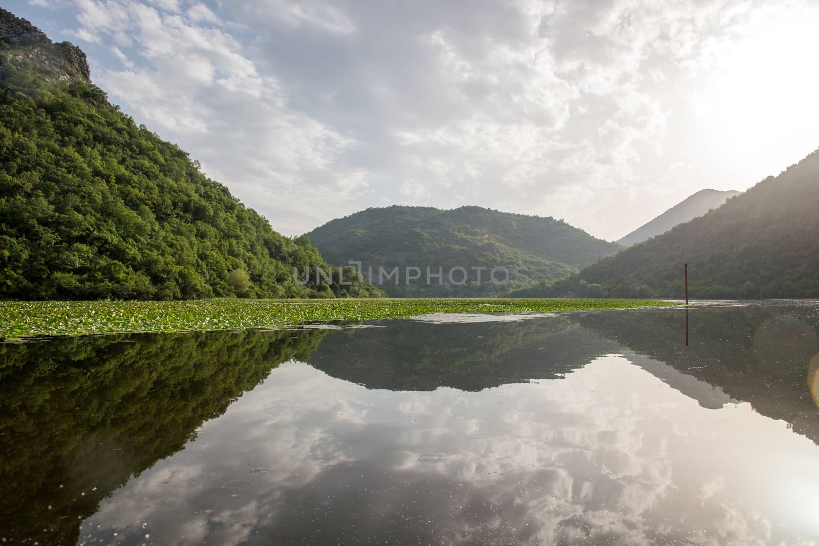 Lake Shkod also called Scutari, Skadar and Shkodra lies on the border of Albania and Montenegro, the largest lake in the Southern Europe