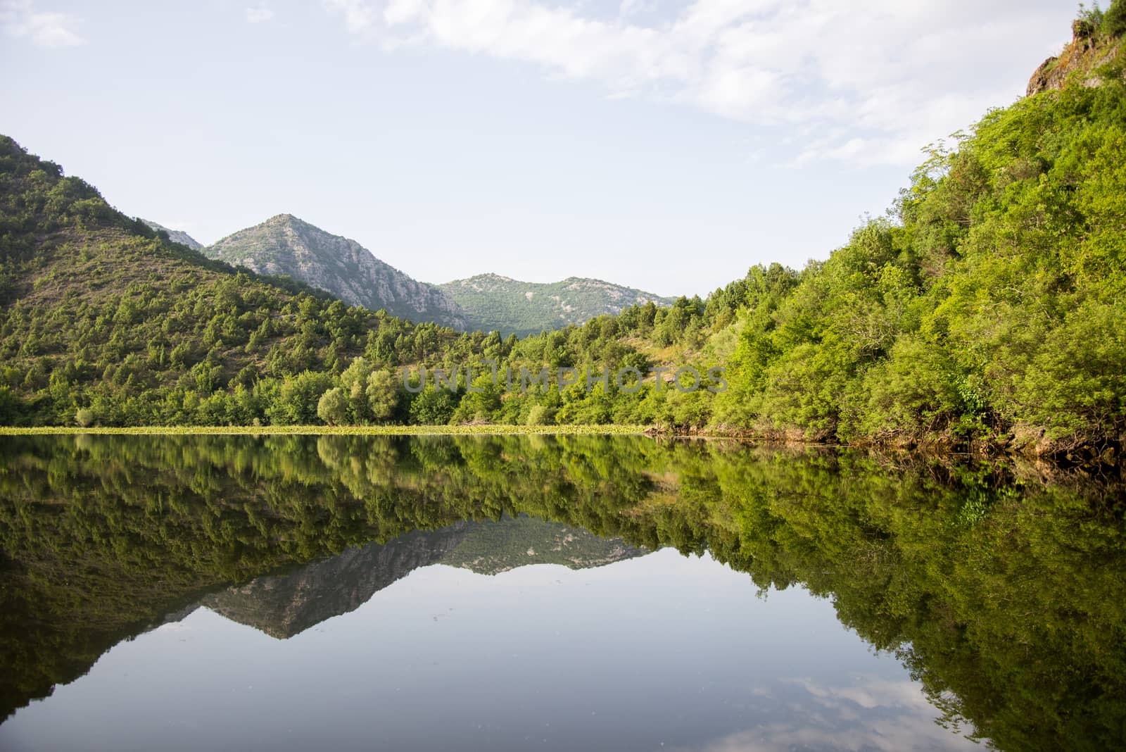 Quiet waters of Lake Skadar in Montenegro by vlaru