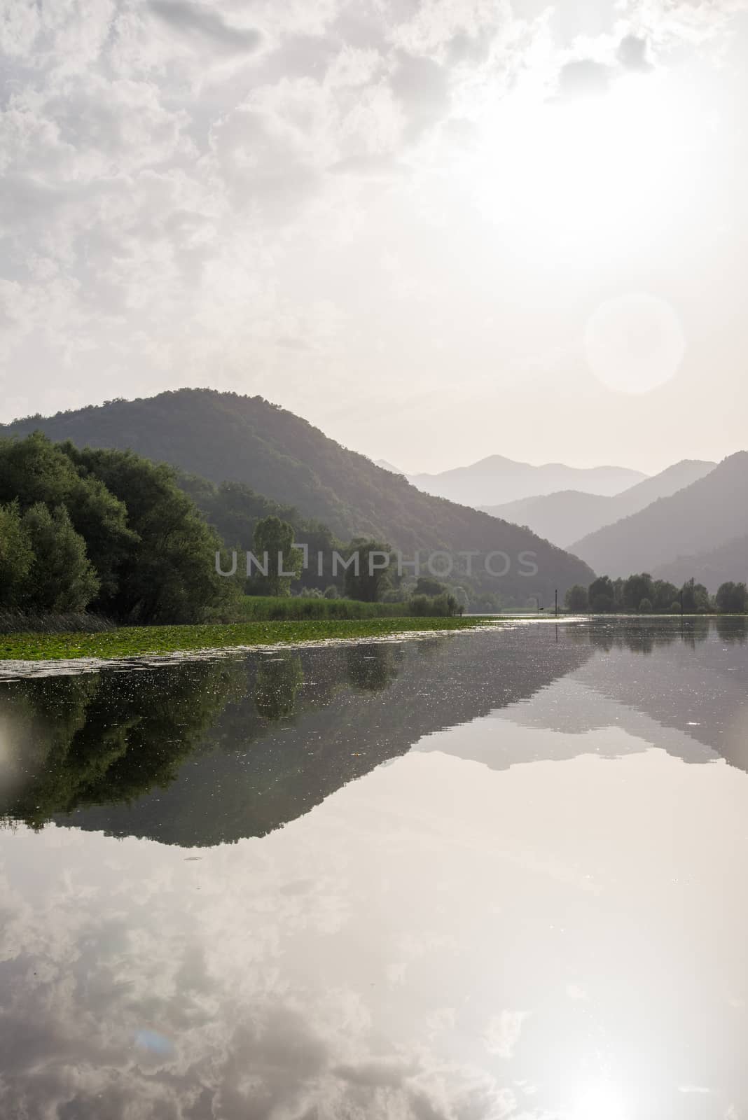 Lake Shkod also called Scutari, Skadar and Shkodra lies on the border of Albania and Montenegro, the largest lake in the Southern Europe